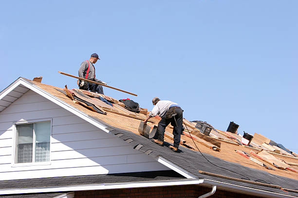 Best Roof Insulation Installation  in Essex Junction, VT